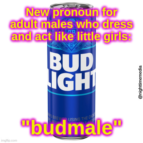 Pronoun Of The Day | New pronoun for adult males who dress and act like little girls:; @nighttimemedia; "budmale" | image tagged in bud light,beer,pronouns,trans,transgender,budweiser | made w/ Imgflip meme maker