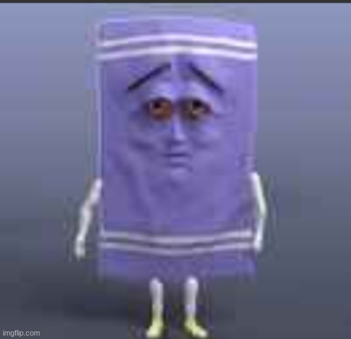 t h e  towel | image tagged in t h e towel | made w/ Imgflip meme maker