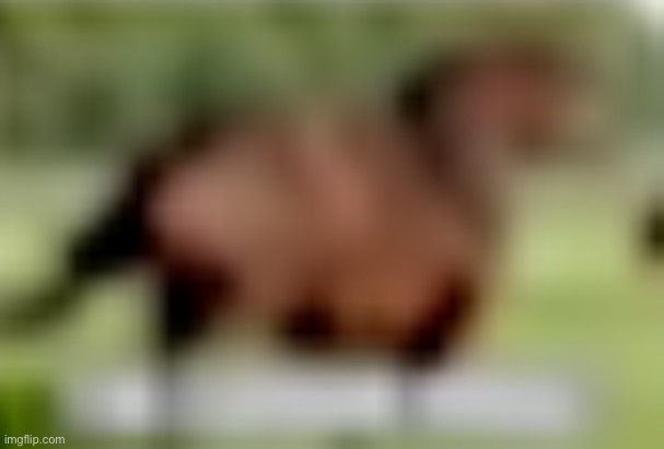image tagged in extremely low quality horse | made w/ Imgflip meme maker