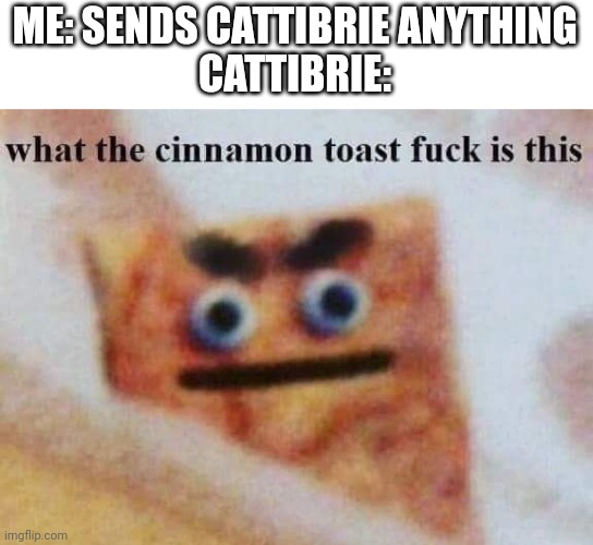 what the cinnamon toast f^%$ is this | ME: SENDS CATTIBRIE ANYTHING
CATTIBRIE: | image tagged in what the cinnamon toast f is this | made w/ Imgflip meme maker
