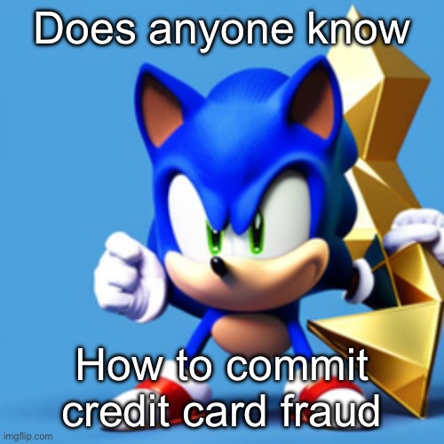 /srs pls help | Does anyone know; How to commit credit card fraud | image tagged in sonk | made w/ Imgflip meme maker