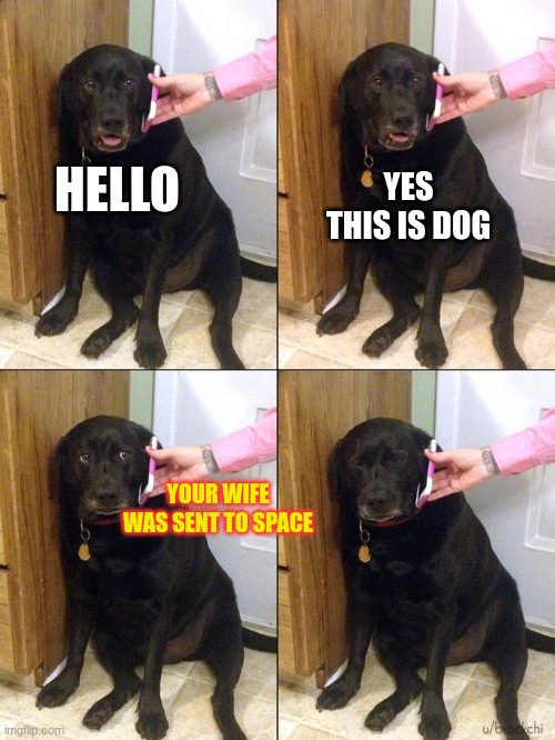 Sad Dog on the Phone | YES THIS IS DOG; HELLO; YOUR WIFE WAS SENT TO SPACE | image tagged in sad dog on the phone | made w/ Imgflip meme maker