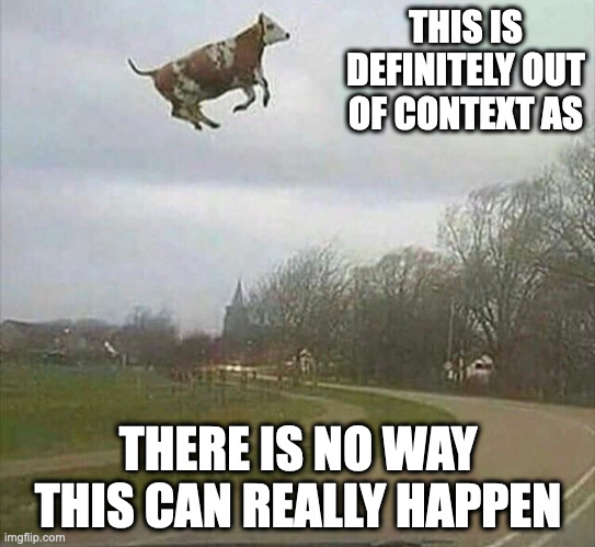 Cow in Sky | THIS IS DEFINITELY OUT OF CONTEXT AS; THERE IS NO WAY THIS CAN REALLY HAPPEN | image tagged in cow,memes | made w/ Imgflip meme maker