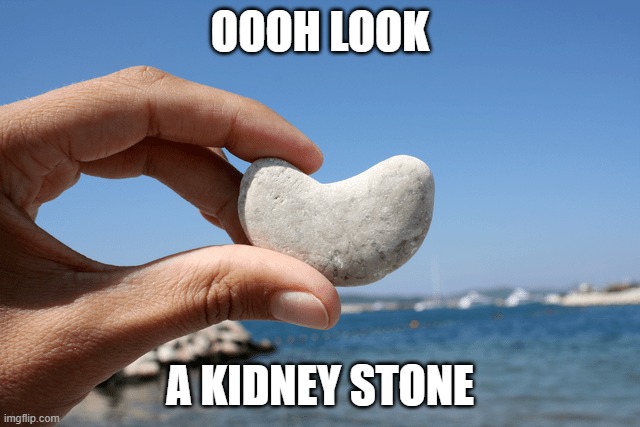 OOOH LOOK A KIDNEY STONE | made w/ Imgflip meme maker
