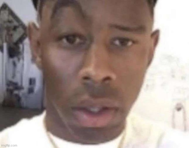 Me when dead chat | image tagged in tyler the creator eyebrow raise | made w/ Imgflip meme maker