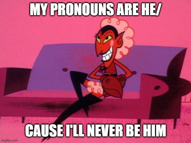 HiM | MY PRONOUNS ARE HE/; CAUSE I'LL NEVER BE HIM | image tagged in he/they | made w/ Imgflip meme maker