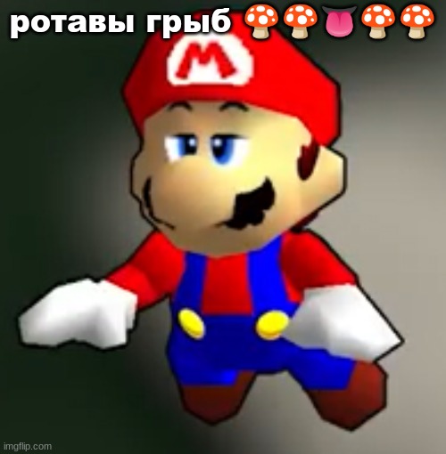 mayo | ротавы грыб 🍄🍄👅🍄🍄 | image tagged in mayo | made w/ Imgflip meme maker