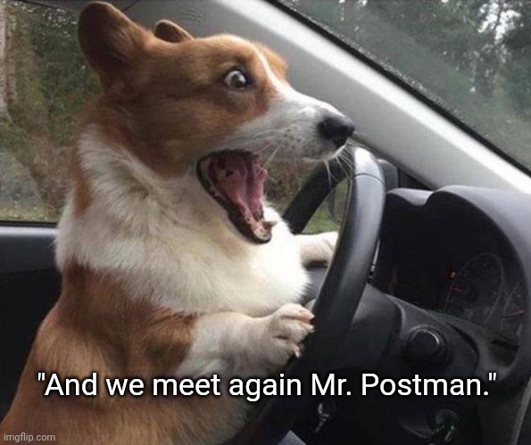 We Meet Again | "And we meet again Mr. Postman." | image tagged in dog driving,dogs,dog memes,funny dogs | made w/ Imgflip meme maker