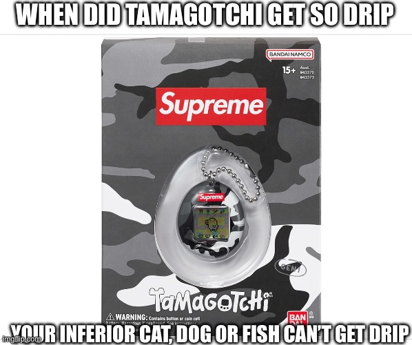 Name another pet that can get drip | WHEN DID TAMAGOTCHI GET SO DRIP; YOUR INFERIOR CAT, DOG OR FISH CAN’T GET DRIP | image tagged in pet | made w/ Imgflip meme maker