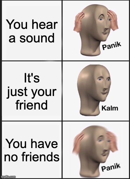 No friends | You hear a sound; It's just your friend; You have no friends | image tagged in memes,panik kalm panik | made w/ Imgflip meme maker
