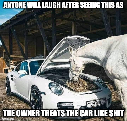 Car WIth Hay | ANYONE WILL LAUGH AFTER SEEING THIS AS; THE OWNER TREATS THE CAR LIKE SHIT | image tagged in cars,memes,horse | made w/ Imgflip meme maker