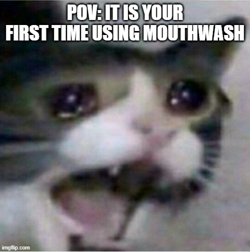 I had to use it | POV: IT IS YOUR FIRST TIME USING MOUTHWASH | image tagged in crying cat | made w/ Imgflip meme maker