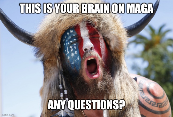 Magatuar | THIS IS YOUR BRAIN ON MAGA; ANY QUESTIONS? | image tagged in magatuar | made w/ Imgflip meme maker