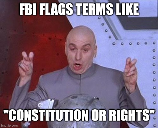 Dr Evil Laser Meme | FBI FLAGS TERMS LIKE; "CONSTITUTION OR RIGHTS" | image tagged in memes,dr evil laser | made w/ Imgflip meme maker