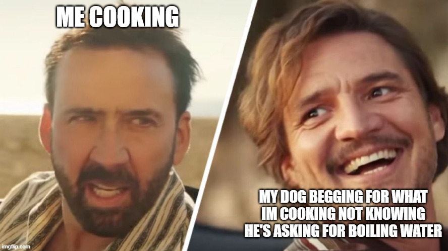 me cooking | ME COOKING; MY DOG BEGGING FOR WHAT IM COOKING NOT KNOWING HE'S ASKING FOR BOILING WATER | image tagged in nick cage and pedro pascal | made w/ Imgflip meme maker