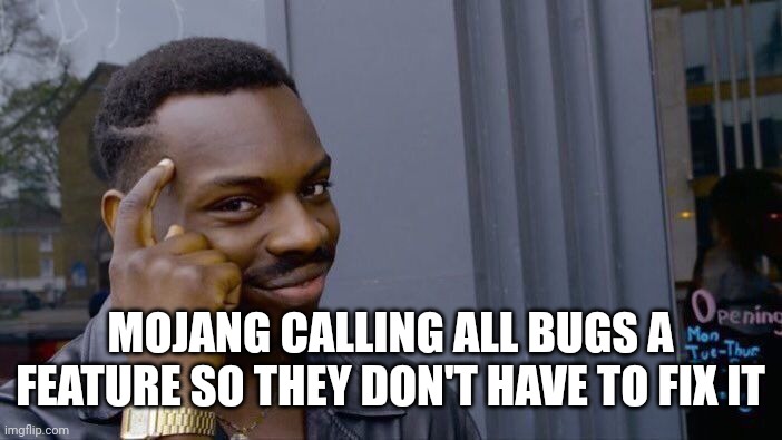 BRO WDH | MOJANG CALLING ALL BUGS A FEATURE SO THEY DON'T HAVE TO FIX IT | image tagged in memes,roll safe think about it | made w/ Imgflip meme maker