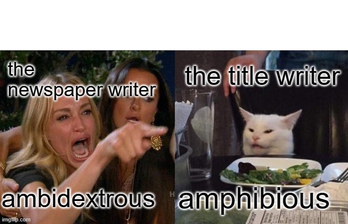 ambidextrous amphibious the newspaper writer the title writer | image tagged in memes,woman yelling at cat | made w/ Imgflip meme maker