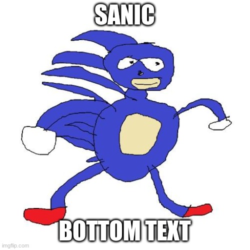 Sanic | SANIC BOTTOM TEXT | image tagged in sanic | made w/ Imgflip meme maker