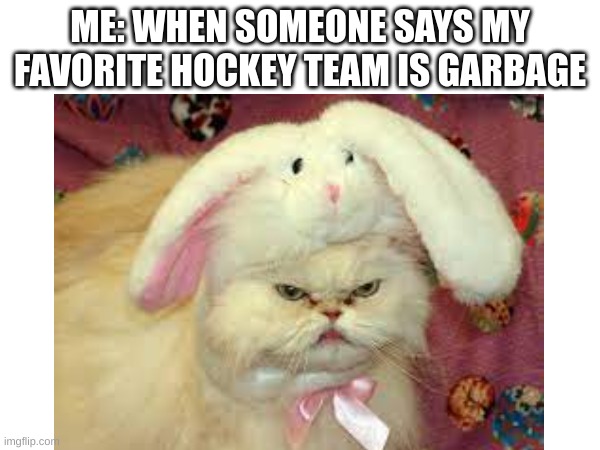 hockey | ME: WHEN SOMEONE SAYS MY FAVORITE HOCKEY TEAM IS GARBAGE | image tagged in ice hockey,cats,easter | made w/ Imgflip meme maker