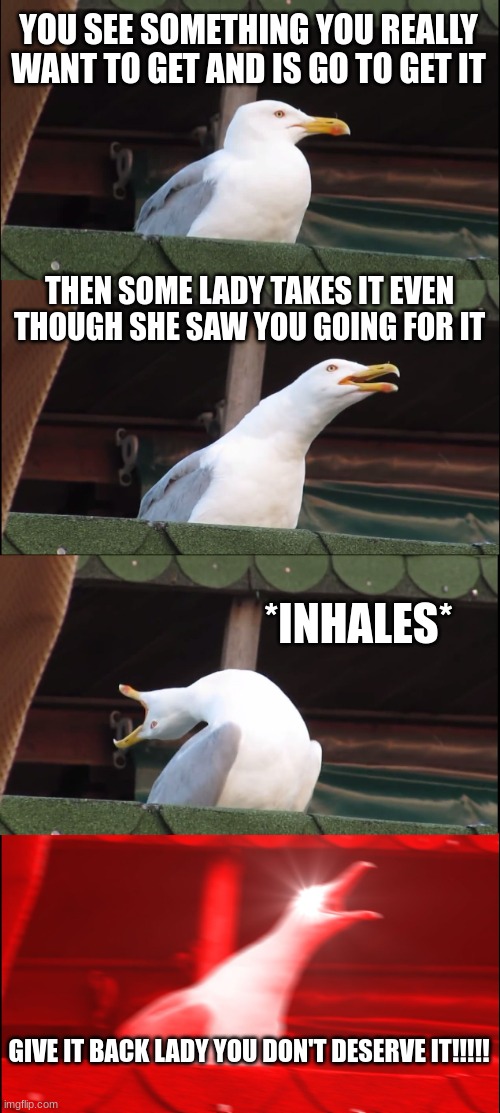 GIVE IT BACK LADY!!! | YOU SEE SOMETHING YOU REALLY WANT TO GET AND IS GO TO GET IT; THEN SOME LADY TAKES IT EVEN THOUGH SHE SAW YOU GOING FOR IT; *INHALES*; GIVE IT BACK LADY YOU DON'T DESERVE IT!!!!! | image tagged in memes,inhaling seagull | made w/ Imgflip meme maker