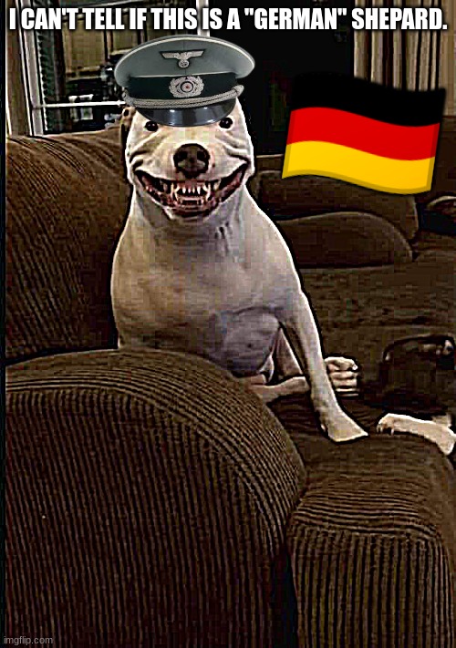 German Dog | I CAN'T TELL IF THIS IS A "GERMAN" SHEPARD. 🇩🇪 | image tagged in pitbull smiling | made w/ Imgflip meme maker