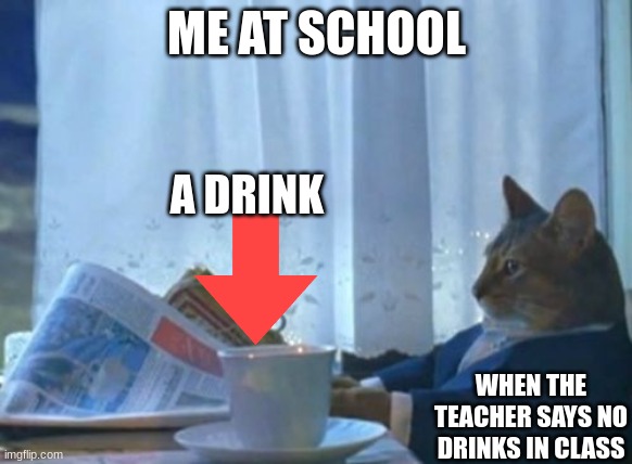 When the teacher says no drinks in class | ME AT SCHOOL; A DRINK; WHEN THE TEACHER SAYS NO DRINKS IN CLASS | image tagged in memes,i should buy a boat cat | made w/ Imgflip meme maker