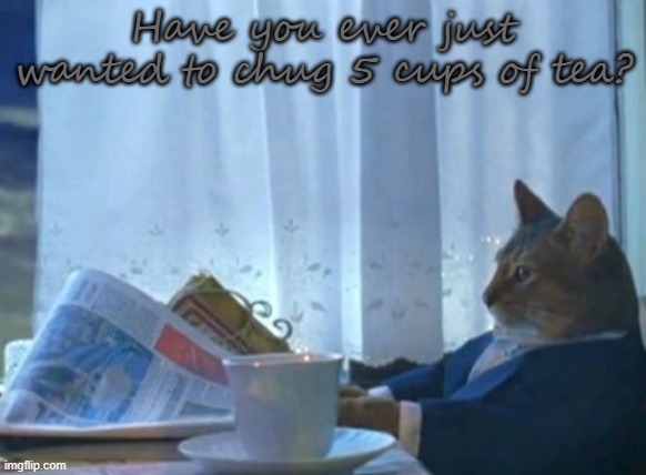 I Should Buy A Boat Cat | Have you ever just wanted to chug 5 cups of tea? | image tagged in memes,i should buy a boat cat | made w/ Imgflip meme maker