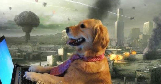 High Quality Dog on computer while world is being destroyed Blank Meme Template