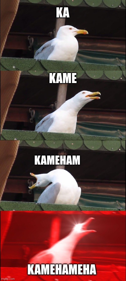 Fortnite fun | KA; KAME; KAMEHAM; KAMEHAMEHA | image tagged in memes,inhaling seagull | made w/ Imgflip meme maker