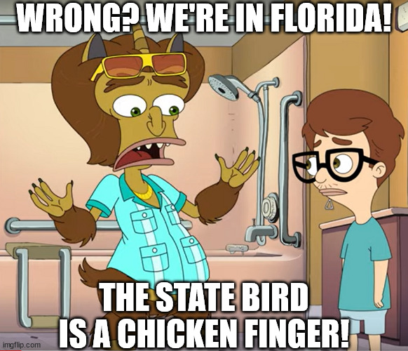 Florida State Bird | WRONG? WE'RE IN FLORIDA! THE STATE BIRD IS A CHICKEN FINGER! | image tagged in florida | made w/ Imgflip meme maker
