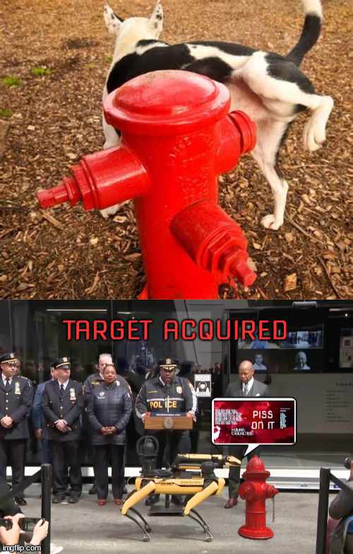 K9 vs K5 | image tagged in bot dog,pee,fire hydrant,police dog,terminator,cops | made w/ Imgflip meme maker