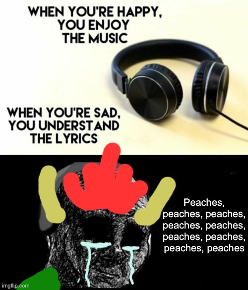 Peaches | Peaches, peaches, peaches, peaches, peaches, peaches, peaches, peaches, peaches | image tagged in when your sad you understand the lyrics,peach | made w/ Imgflip meme maker