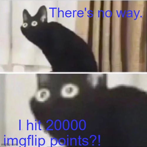 Thank you all SO MUCH, I cannot thank you guys enough for yet another incredible milestone! And also, Happy Late Easter! | There's no way. I hit 20000 imgflip points?! | image tagged in scared cat,accomplishment,memes,no words,oh wow are you actually reading these tags | made w/ Imgflip meme maker
