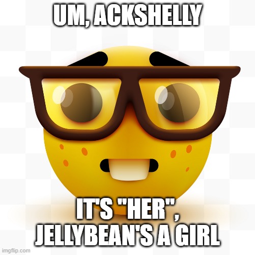 Nerd emoji | UM, ACKSHELLY IT'S "HER", JELLYBEAN'S A GIRL | image tagged in nerd emoji | made w/ Imgflip meme maker