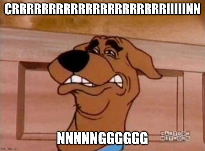 Scooby Cringe | CRRRRRRRRRRRRRRRRRRRRRIIIIINN NNNNNGGGGGG | image tagged in scooby cringe | made w/ Imgflip meme maker