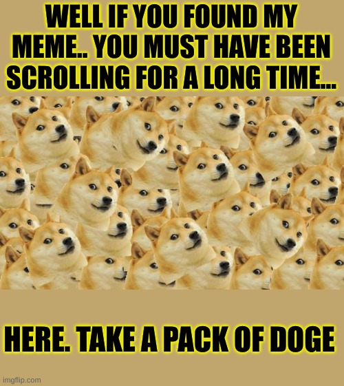 why are you reading the title? | WELL IF YOU FOUND MY MEME.. YOU MUST HAVE BEEN SCROLLING FOR A LONG TIME... HERE. TAKE A PACK OF DOGE | image tagged in memes,multi doge,why are you reading the tags,cool kids | made w/ Imgflip meme maker