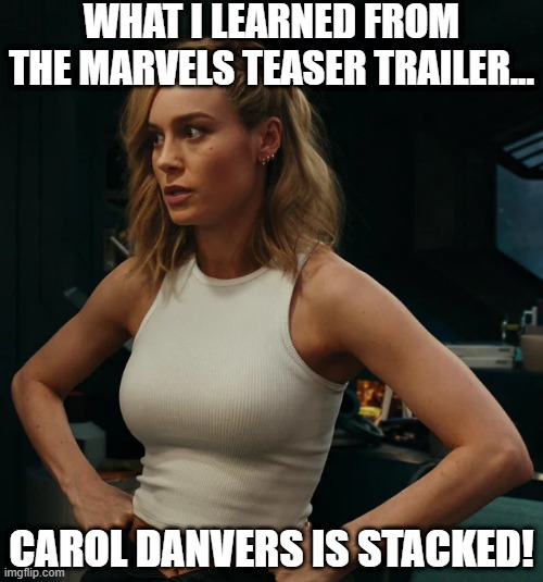 Captain Brickhouse | WHAT I LEARNED FROM THE MARVELS TEASER TRAILER... CAROL DANVERS IS STACKED! | image tagged in captain marvel | made w/ Imgflip meme maker