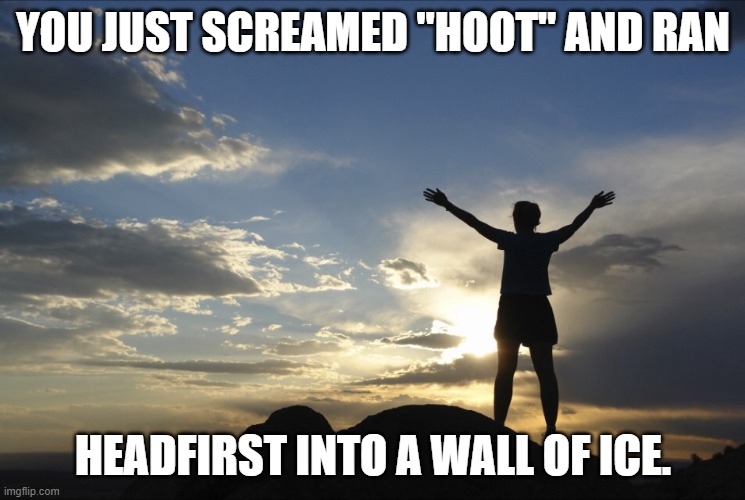 I mean, if you think it's inspirational, sure... | YOU JUST SCREAMED "HOOT" AND RAN; HEADFIRST INTO A WALL OF ICE. | image tagged in inspirational | made w/ Imgflip meme maker