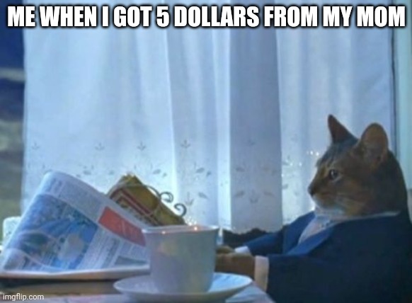 I Should Buy A Boat Cat | ME WHEN I GOT 5 DOLLARS FROM MY MOM | image tagged in memes,i should buy a boat cat | made w/ Imgflip meme maker