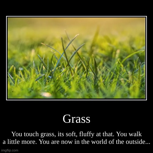 Grass Ending | image tagged in funny,demotivationals,sad,happy | made w/ Imgflip demotivational maker