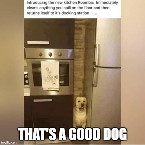 That's a Good Dog | THAT'S A GOOD DOG | image tagged in that's a good dog | made w/ Imgflip meme maker