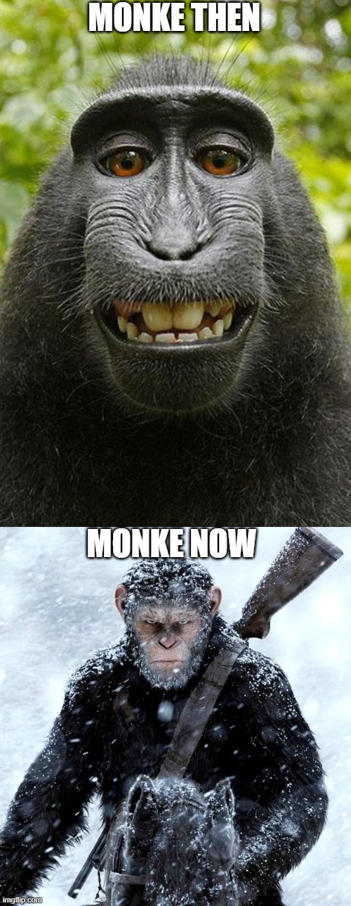 Never make fun of this Monke | MONKE THEN; MONKE NOW | image tagged in monkey selfie,monke,transformation | made w/ Imgflip meme maker