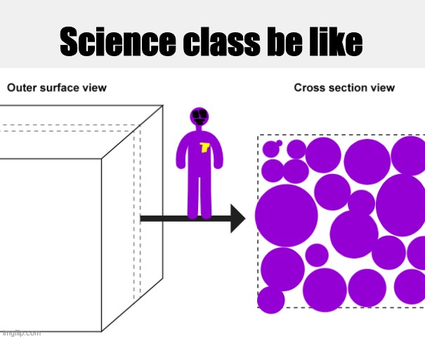 I get so bored in class lmao | Science class be like | image tagged in why he ourple | made w/ Imgflip meme maker