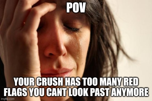 First World Problems | POV; YOUR CRUSH HAS TOO MANY RED FLAGS YOU CANT LOOK PAST ANYMORE | image tagged in memes,first world problems | made w/ Imgflip meme maker