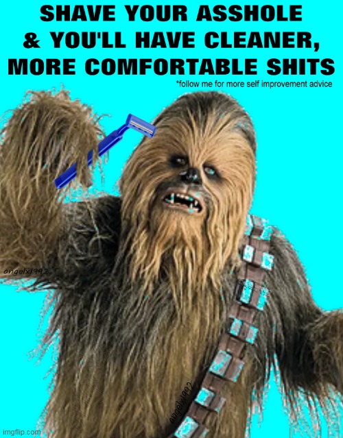 image tagged in chewbacca,star wars,hygiene,hairy,shits,shave | made w/ Imgflip meme maker