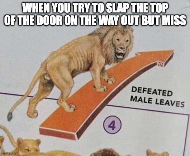 So Sad | WHEN YOU TRY TO SLAP THE TOP OF THE DOOR ON THE WAY OUT BUT MISS | image tagged in defeated male leaves | made w/ Imgflip meme maker