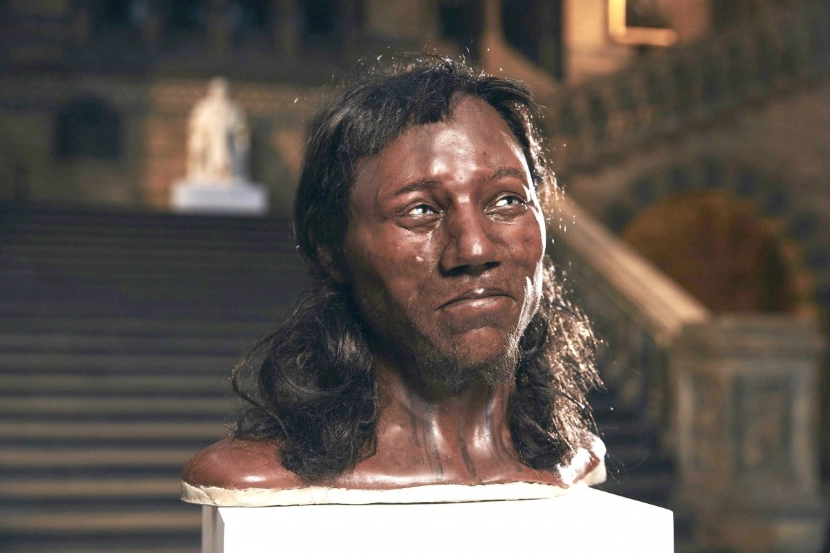 High Quality Cheddar Man Blank Meme Template