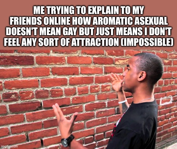 Brick wall | ME TRYING TO EXPLAIN TO MY FRIENDS ONLINE HOW AROMATIC ASEXUAL DOESN'T MEAN GAY BUT JUST MEANS I DON'T FEEL ANY SORT OF ATTRACTION (IMPOSSIBLE) | image tagged in brick wall | made w/ Imgflip meme maker
