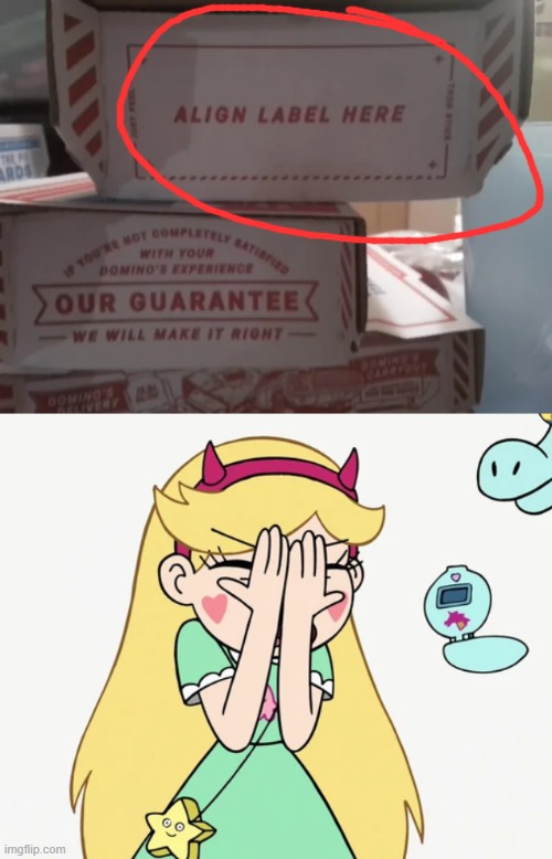 Why does dominoes always do this? | image tagged in star butterfly severe facepalm,you had one job,star vs the forces of evil,memes | made w/ Imgflip meme maker
