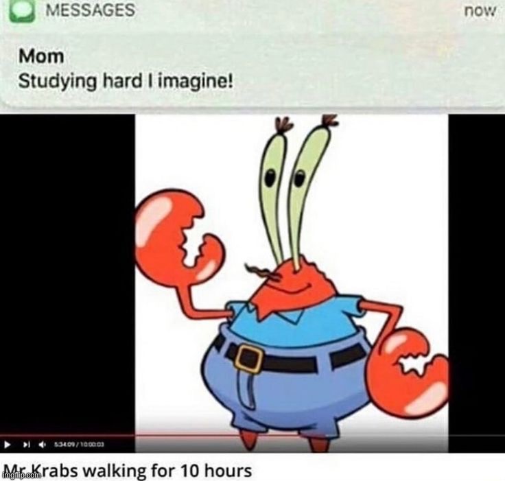 Image tagged in memes - Imgflip